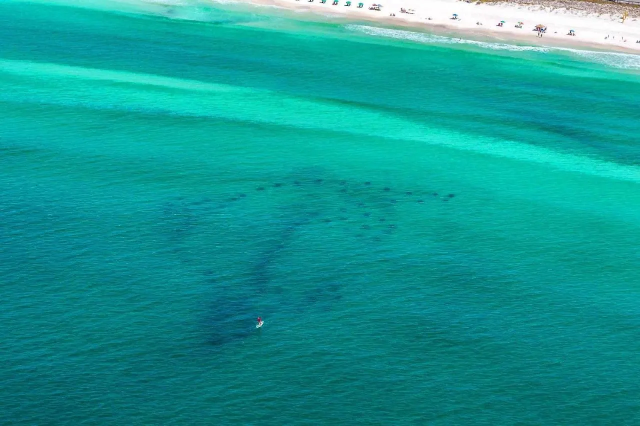 Sea Esta Villa Destin Holiday home